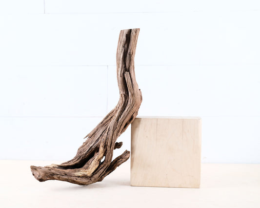 Manzanita 15" Driftwood Root