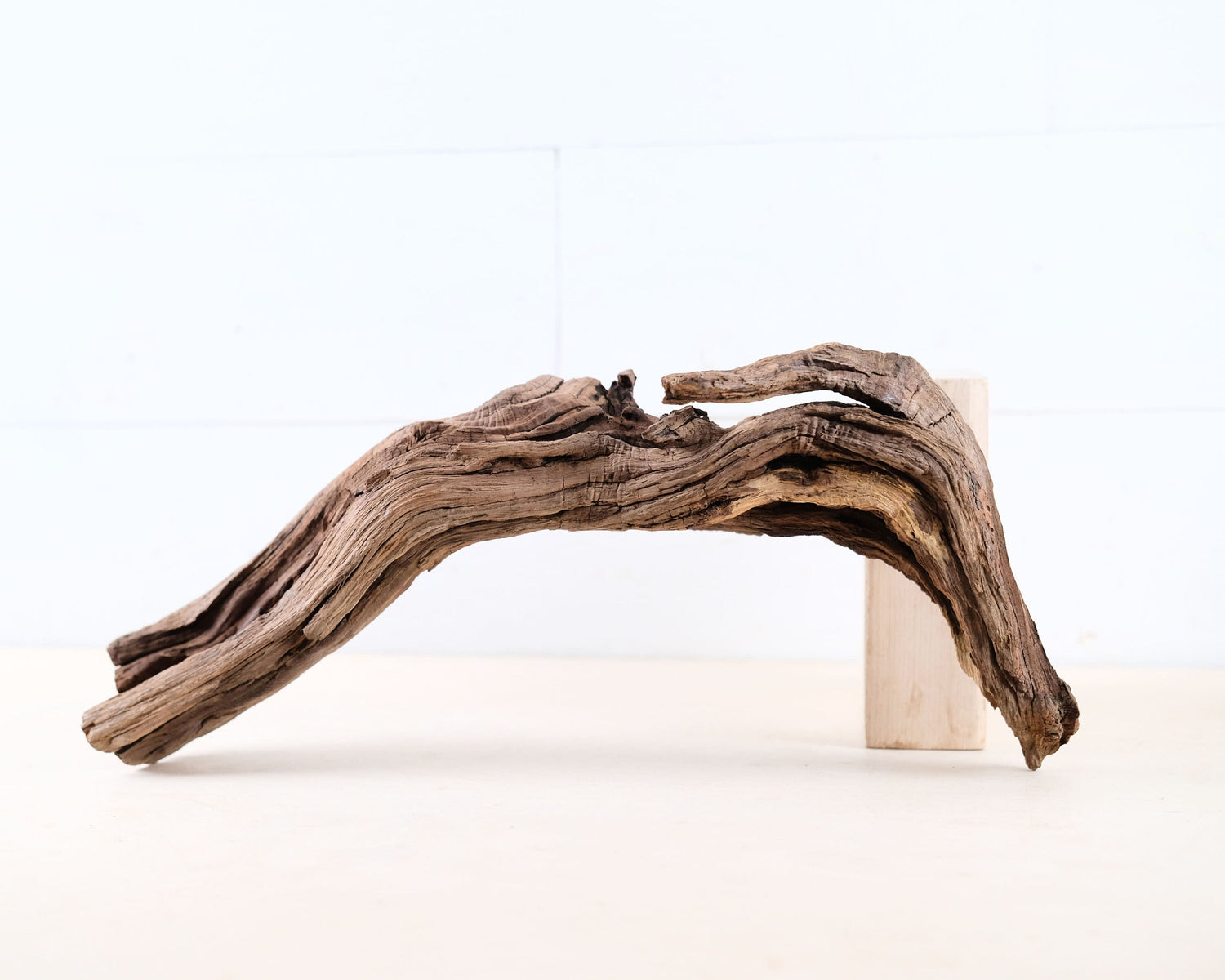 Manzanita 15" Driftwood Root