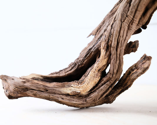 Manzanita 15" Driftwood Root