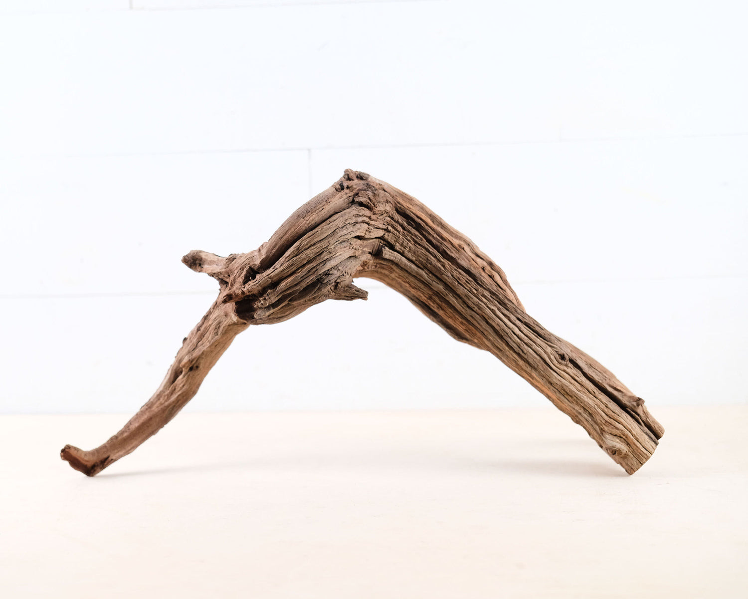 Manzanita 19" Driftwood Root