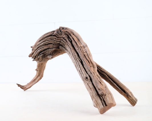 Manzanita 19" Driftwood Root