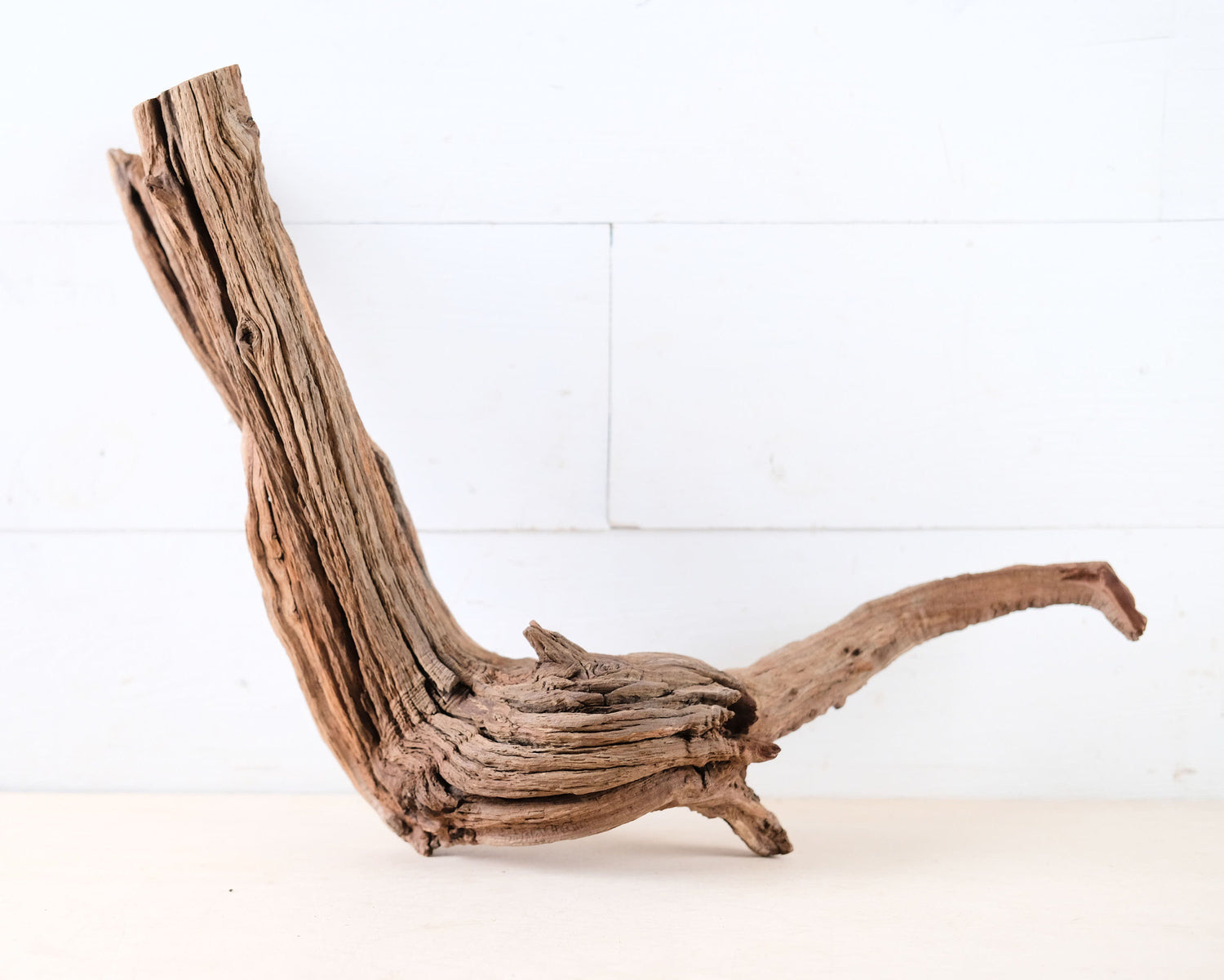 Manzanita 19" Driftwood Root