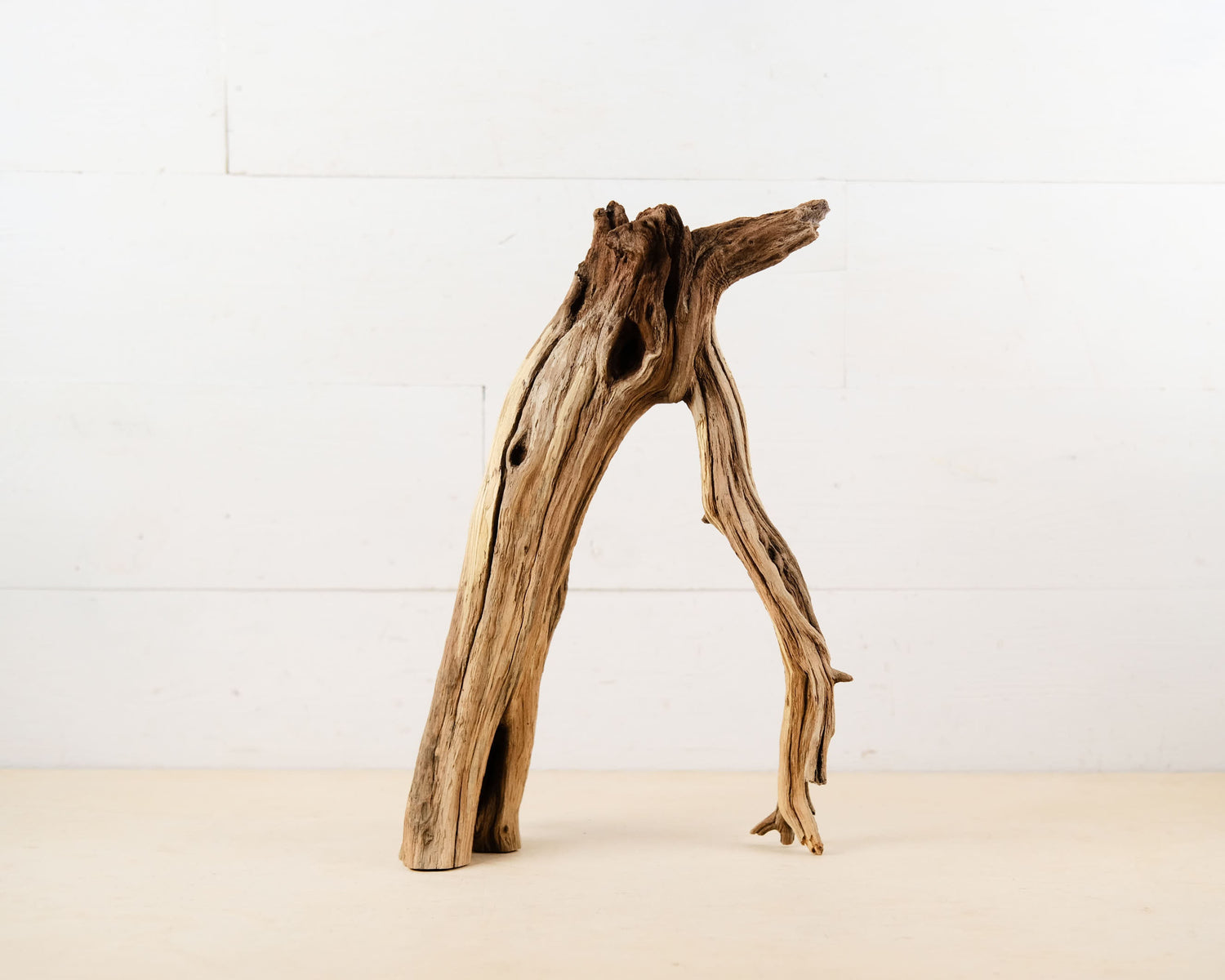 Manzanita 15" Driftwood Root