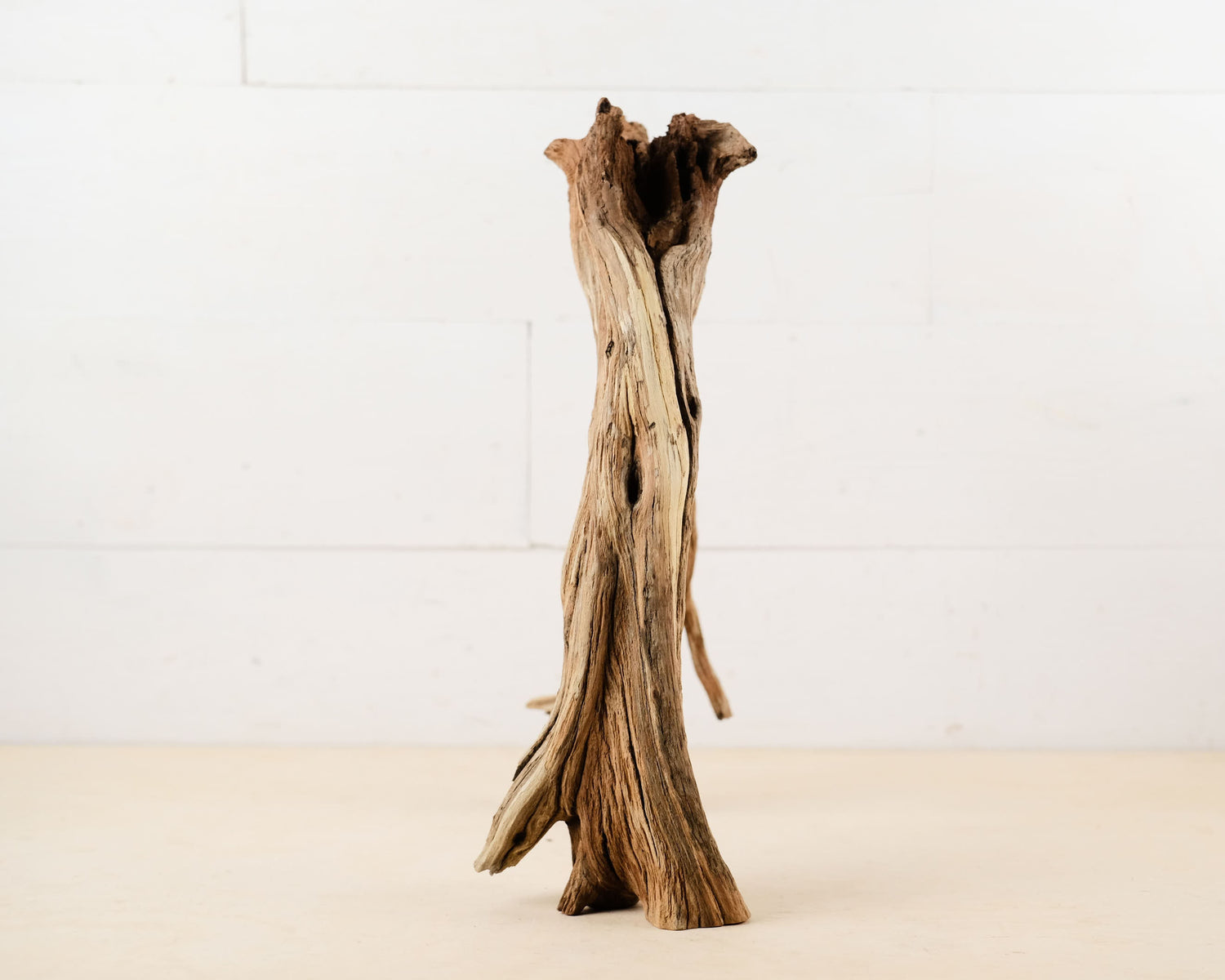 Manzanita 15" Driftwood Root