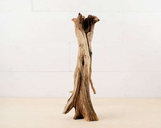 Manzanita 15" Driftwood Root