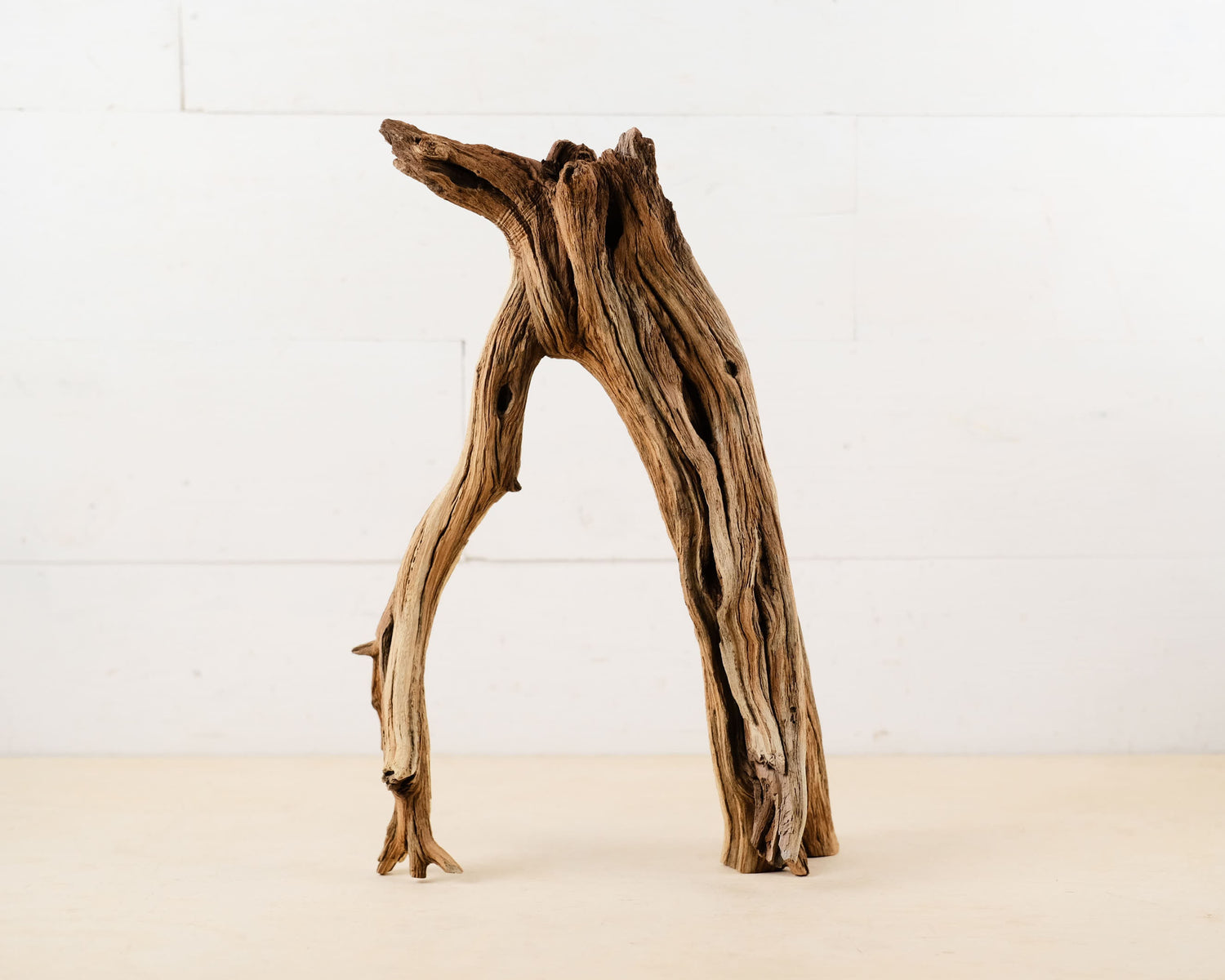 Manzanita 15" Driftwood Root