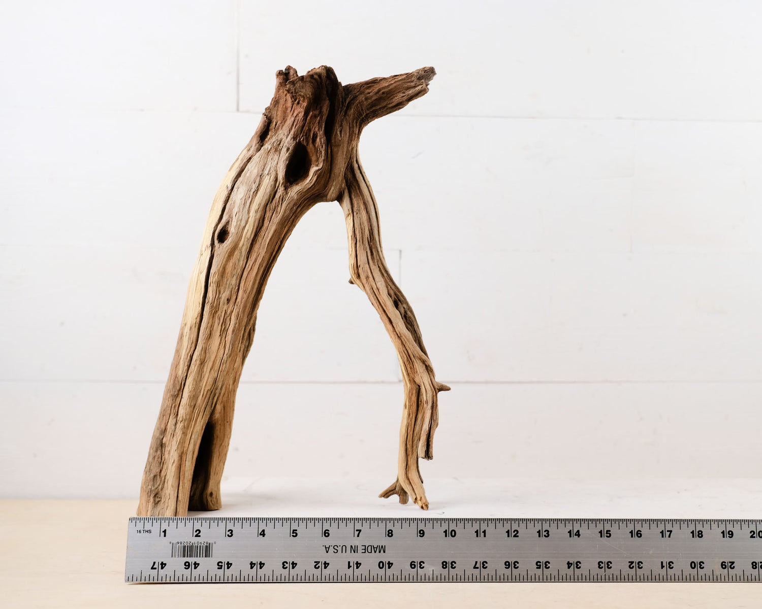 Manzanita 15" Driftwood Root