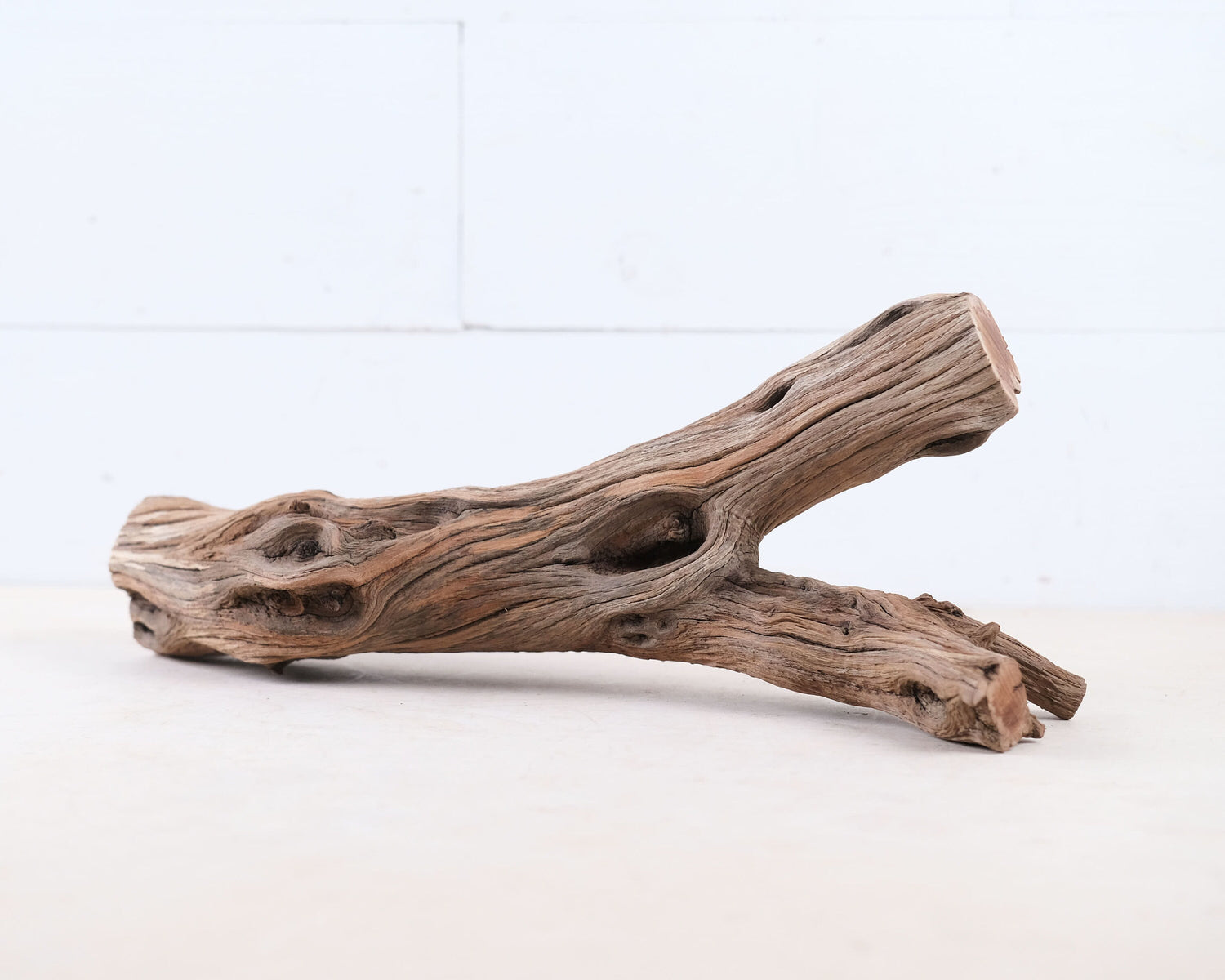 Manzanita 14" Branch