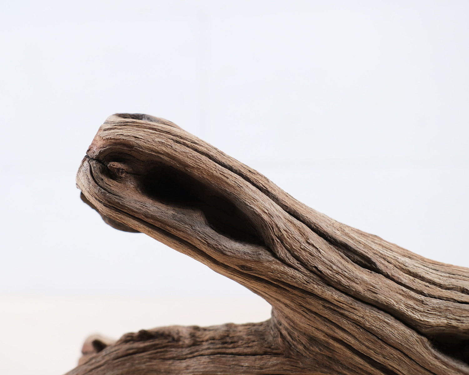 Manzanita 14" Branch