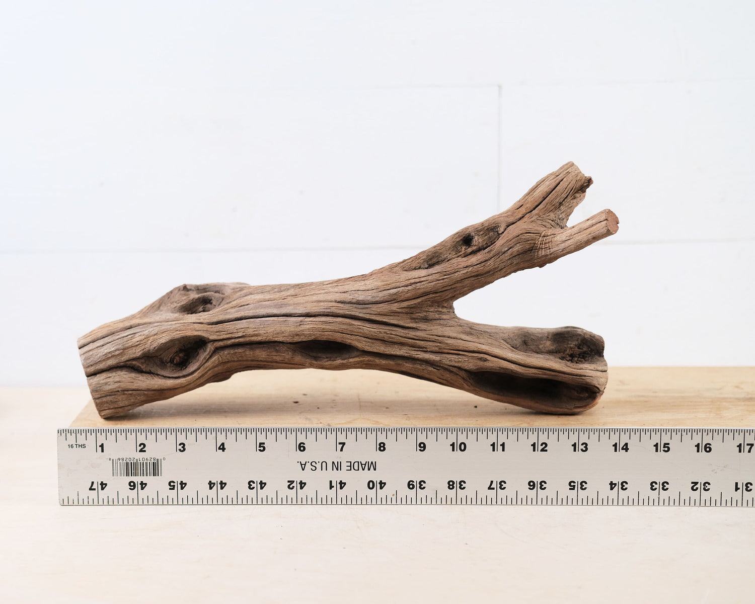Manzanita 14" Branch