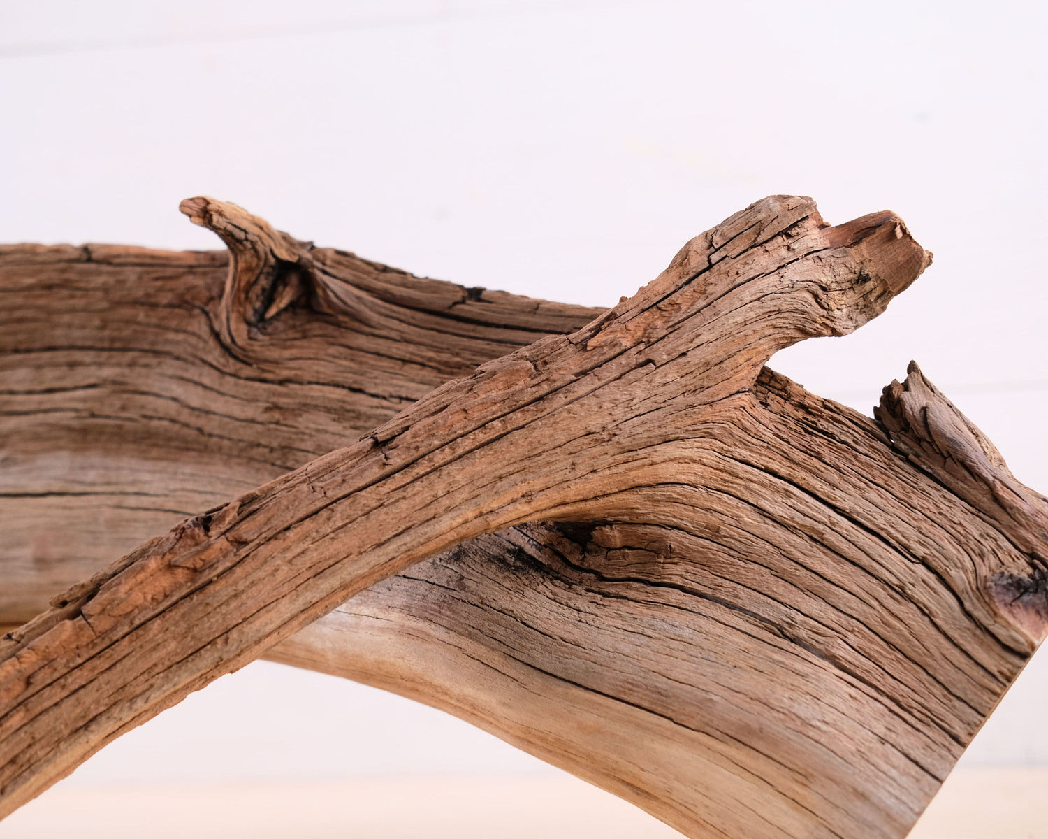 Manzanita 29" Branch