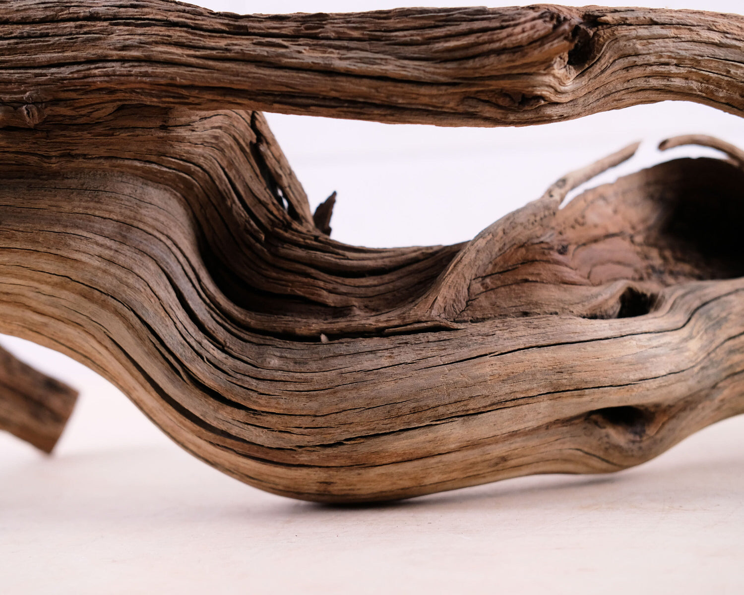 Manzanita 29" Branch