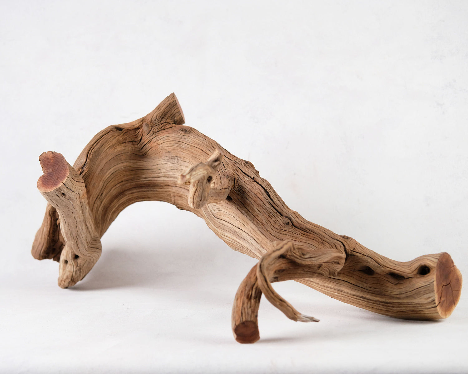 32" Manzanita XL Branch
