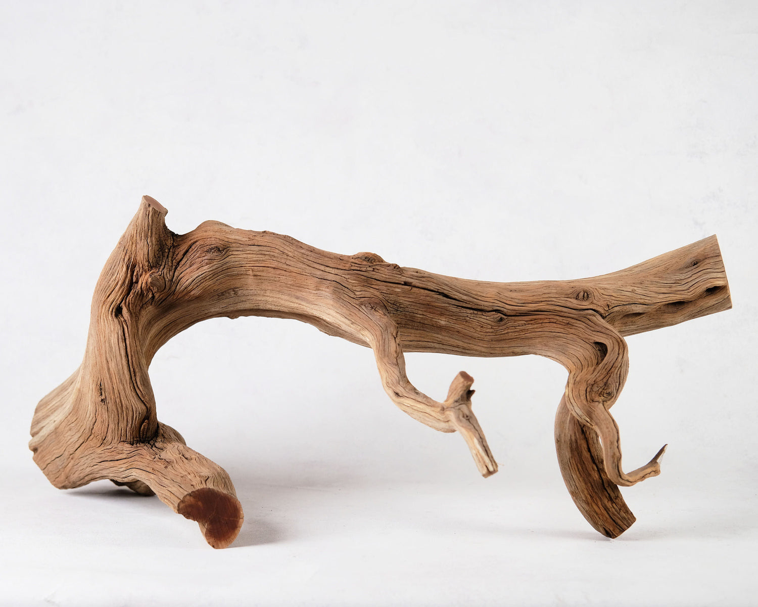 32" Manzanita XL Branch