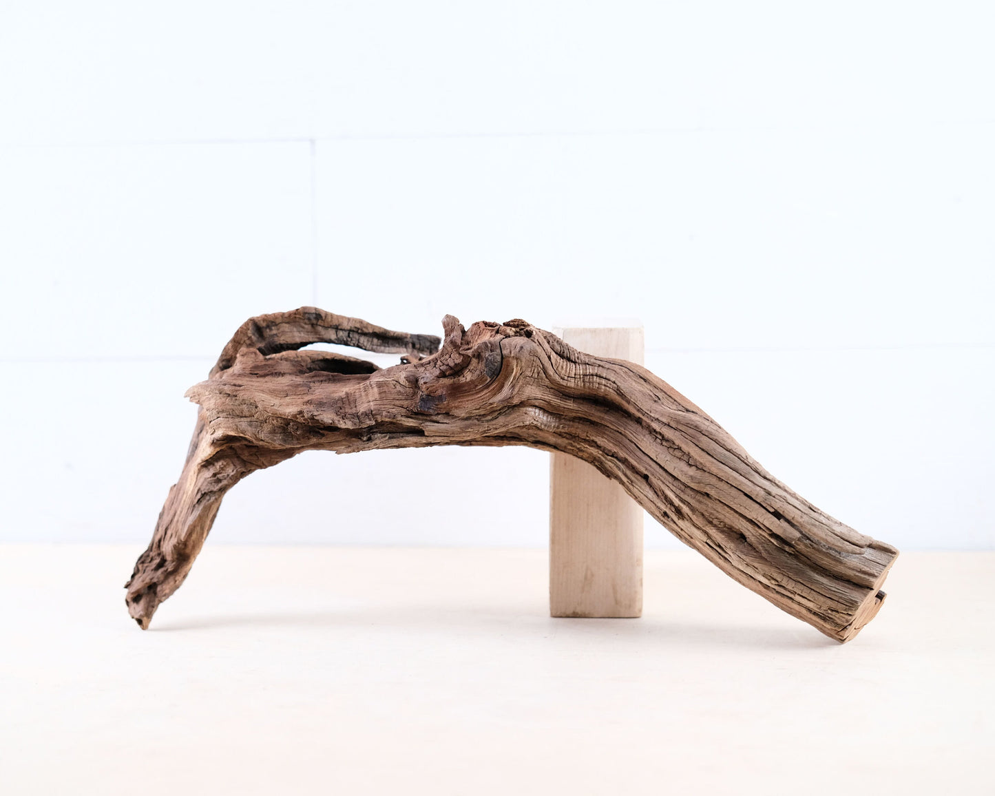 Manzanita 15" Driftwood Root