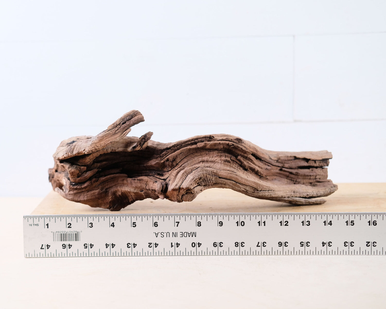 Manzanita 15" Driftwood Root
