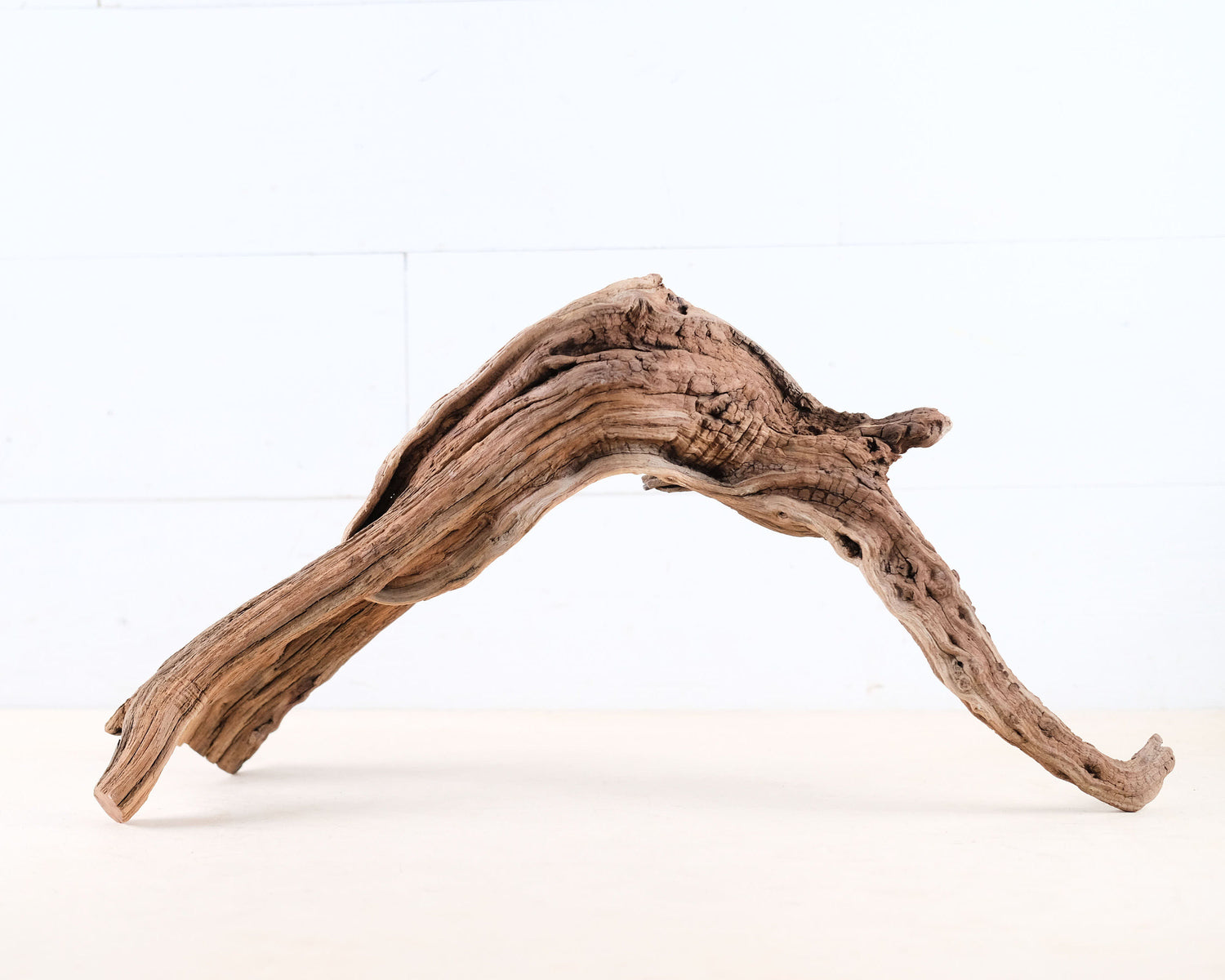 Manzanita 19" Driftwood Root