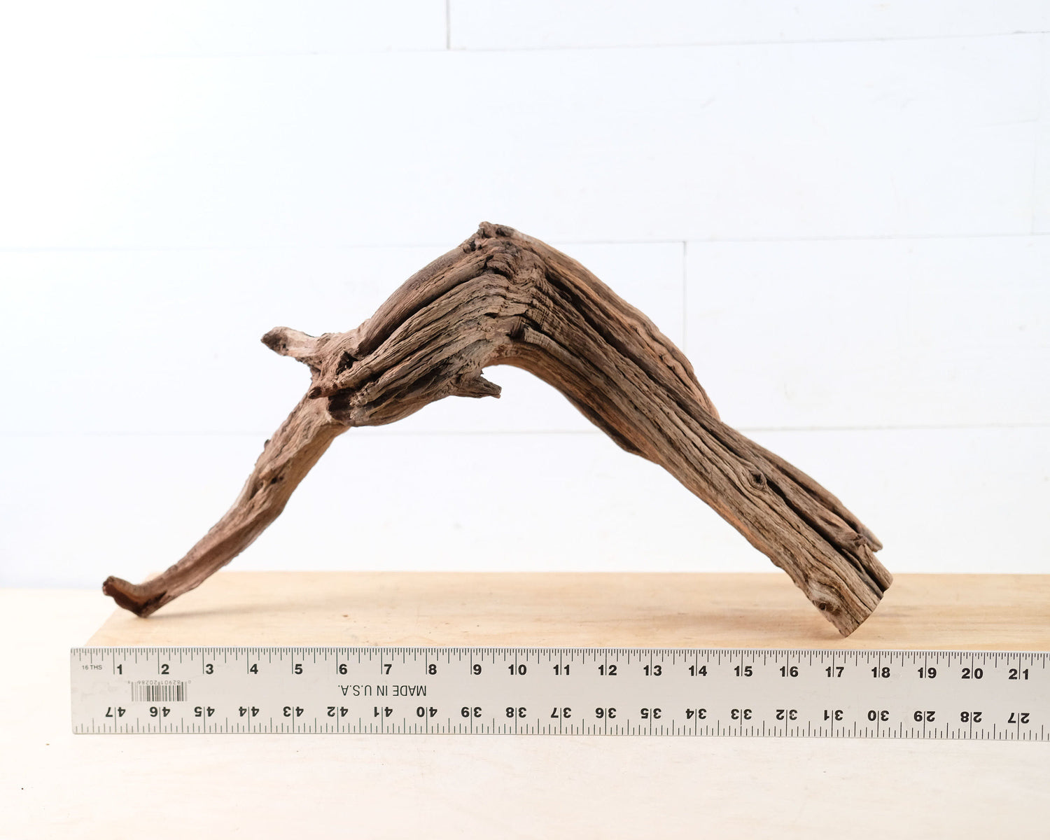 Manzanita 19" Driftwood Root