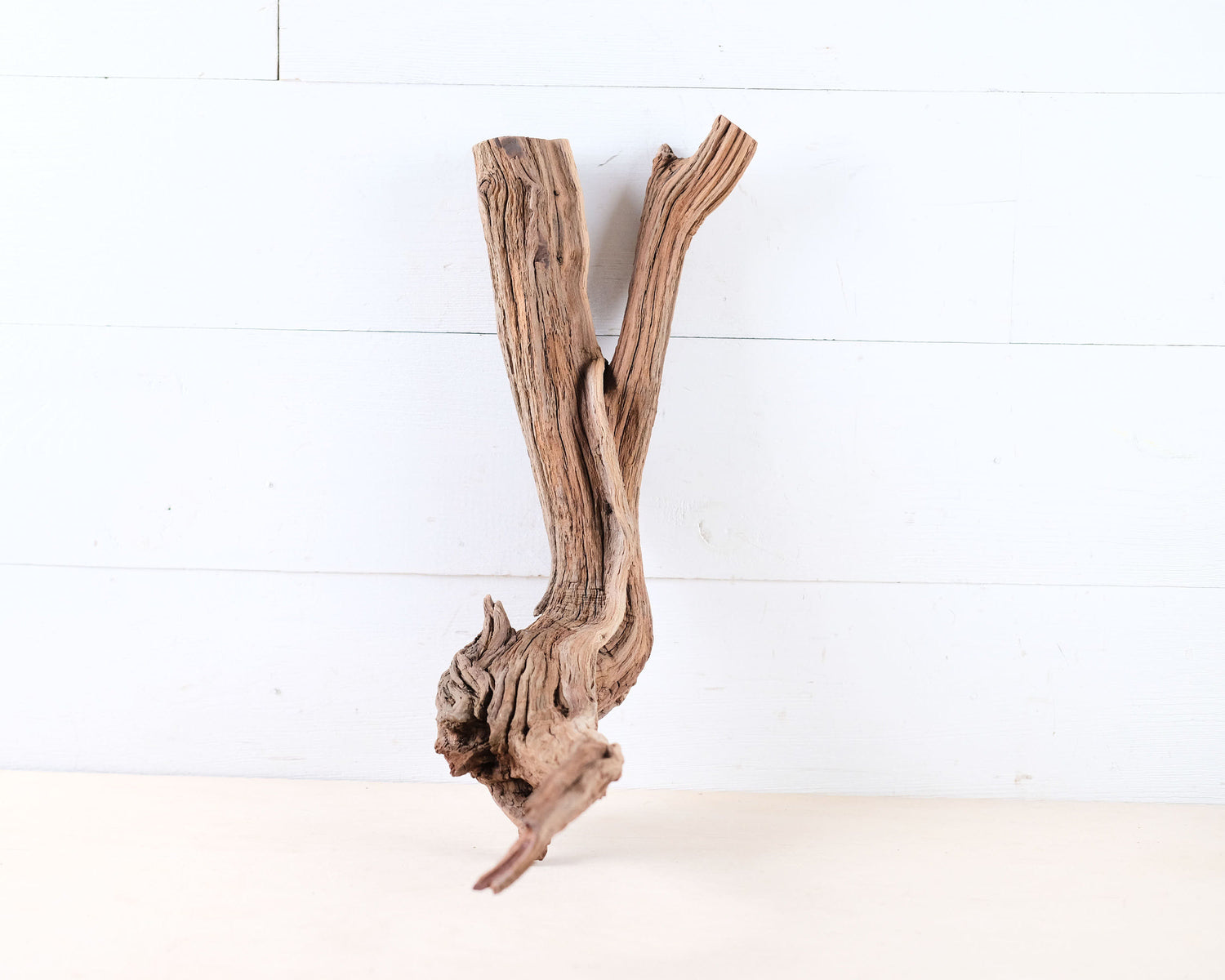 Manzanita 19" Driftwood Root