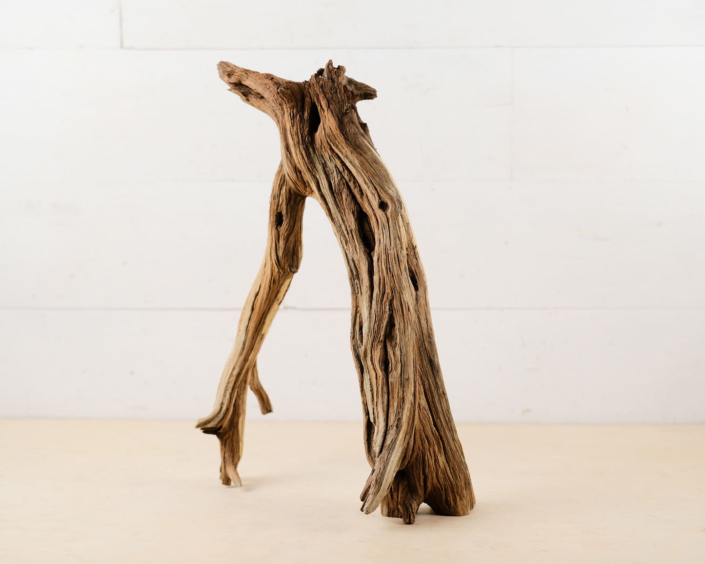 Manzanita 15" Driftwood Root