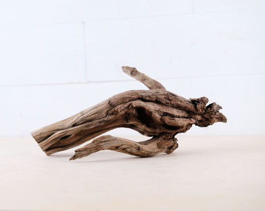 Manzanita 13" Driftwood Root, Natural Aquarium Wood, Aquascape Branch, Shrimp Tank Decor