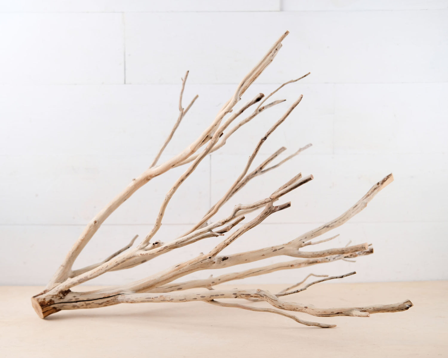 Manzanita 25" Branch, Aquarium Driftwood, Aquascape Centerpiece, Natural Fish Tank Decor, Terrarium Branch
