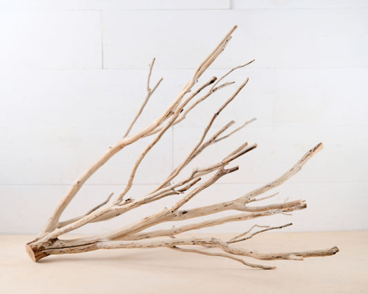 Manzanita 25" Branch, Aquarium Driftwood, Aquascape Centerpiece, Natural Fish Tank Decor, Terrarium Branch
