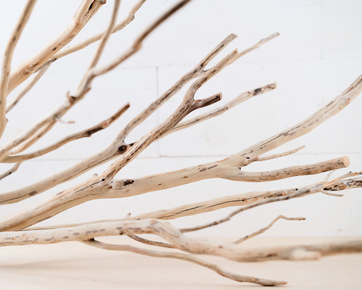 Manzanita 25" Branch, Aquarium Driftwood, Aquascape Centerpiece, Natural Fish Tank Decor, Terrarium Branch