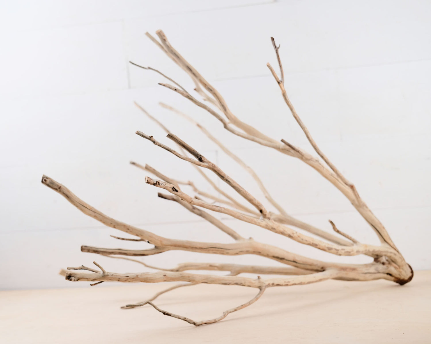 Manzanita 25" Branch, Aquarium Driftwood, Aquascape Centerpiece, Natural Fish Tank Decor, Terrarium Branch
