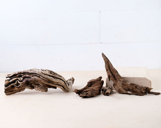 Manzanita 3-9" Driftwood Pieces (Set of 4), Nano Aquarium Wood, Rugged Aquascape Decor, Weathered Manzanita Chunks, Craft Driftwood