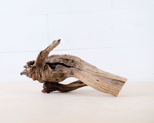 Manzanita 13" Driftwood Root, Natural Aquarium Wood, Aquascape Branch, Shrimp Tank Decor