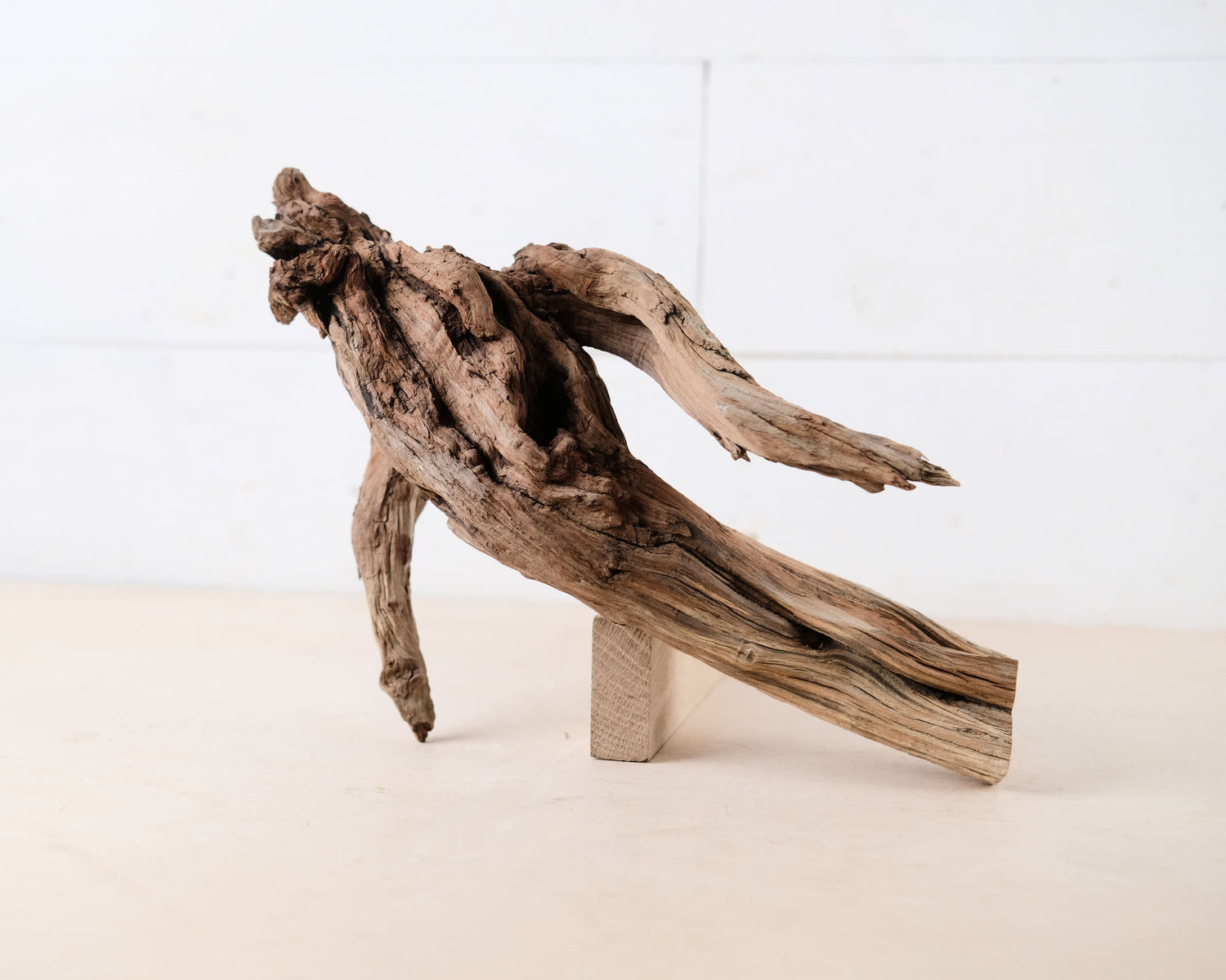 Manzanita 13" Driftwood Root, Natural Aquarium Wood, Aquascape Branch, Shrimp Tank Decor