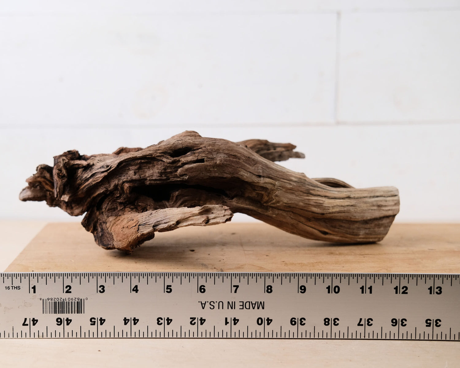 Manzanita 13" Driftwood Root, Natural Aquarium Wood, Aquascape Branch, Shrimp Tank Decor