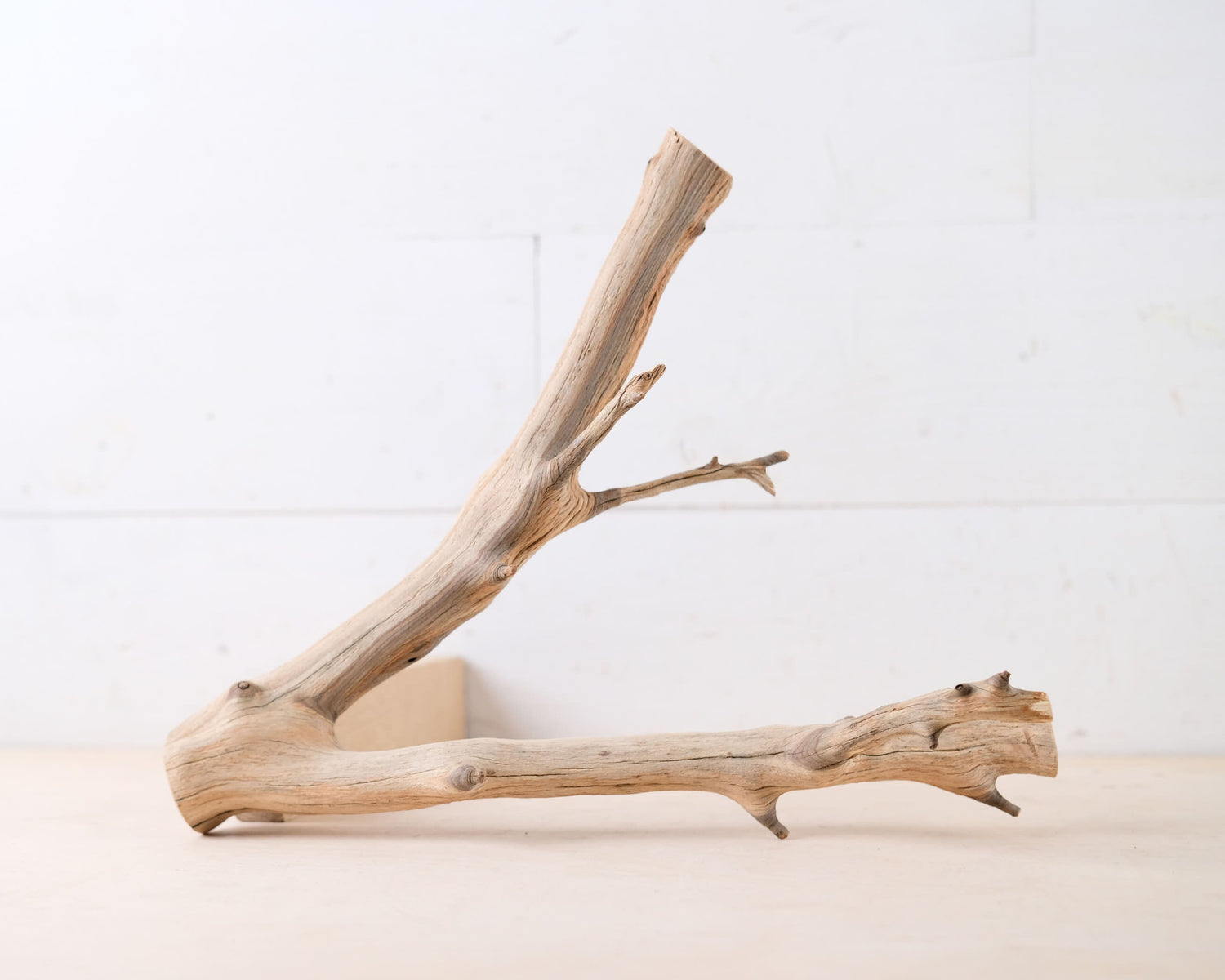 Manzanita 12" Driftwood Branch, Natural Aquarium Wood, Small Aquascape Branch, Nanoscape Tank Decor