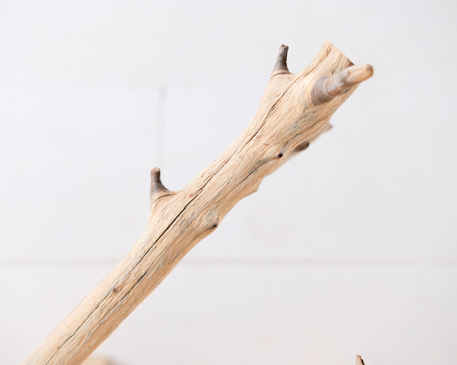 Manzanita 12" Driftwood Branch, Natural Aquarium Wood, Small Aquascape Branch, Nanoscape Tank Decor