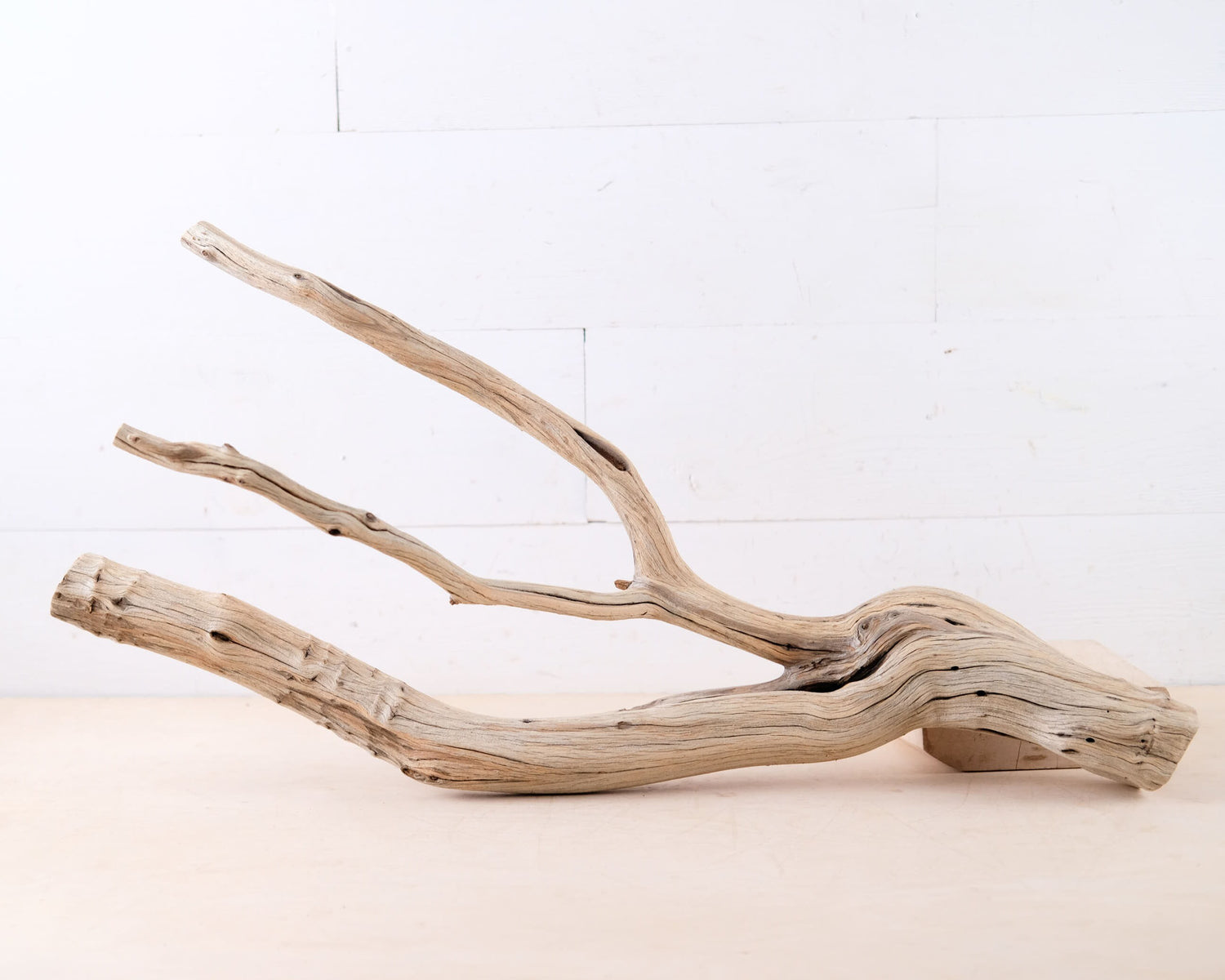 Manzanita 26" Driftwood Branch, Large Aquarium Wood, Reptile Terrarium Perch, Aquascape Centerpiece