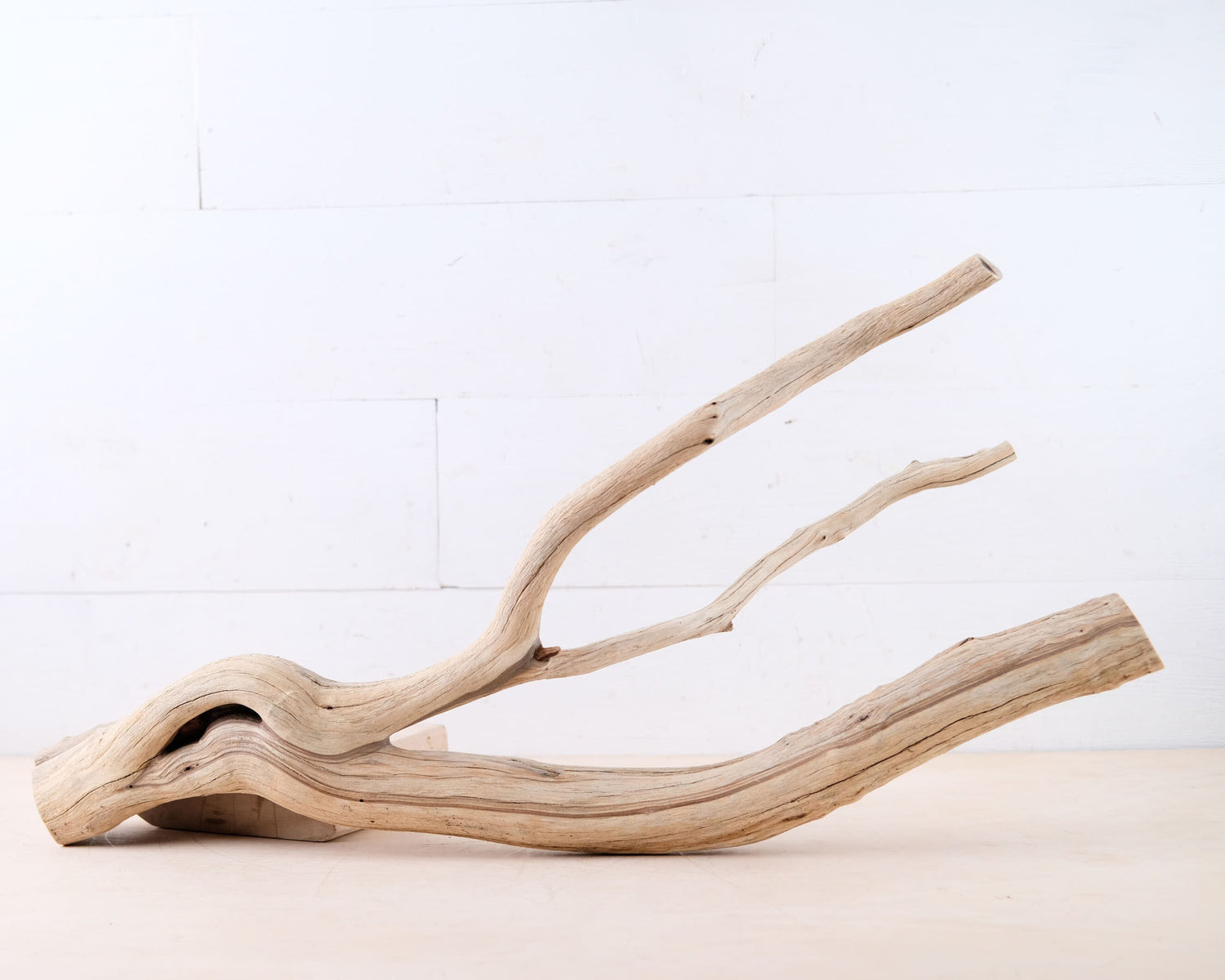 Manzanita 26" Driftwood Branch, Large Aquarium Wood, Reptile Terrarium Perch, Aquascape Centerpiece