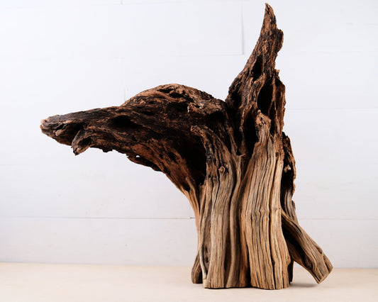 Manzanita 24" Driftwood Root, Rugged Aquarium Wood, Natural Fish Tank Decor, Shrimp Tank Enrichment
