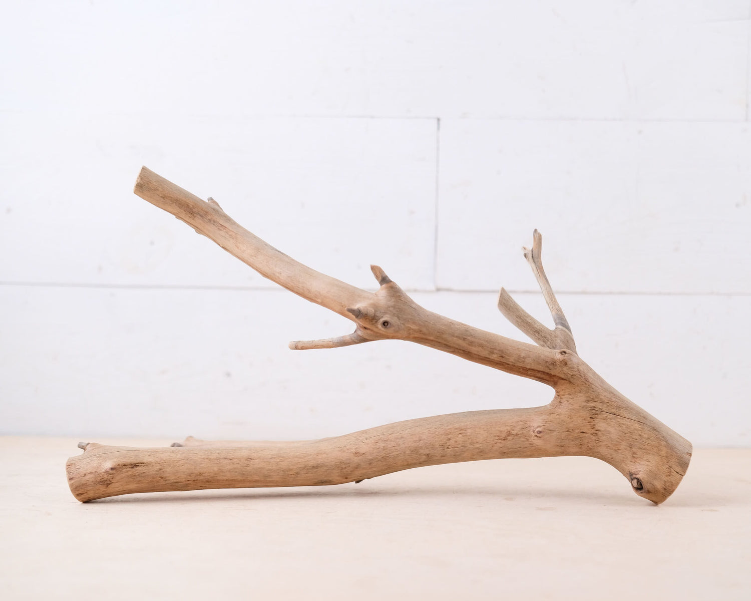 Manzanita 15" Branch, Aquarium Driftwood, Natural Aquascape Decor, Vivarium Terrarium Branch