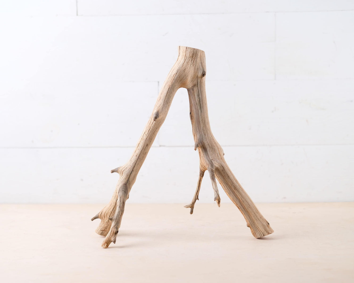 Manzanita 12" Driftwood Branch, Natural Aquarium Wood, Small Aquascape Branch, Nanoscape Tank Decor