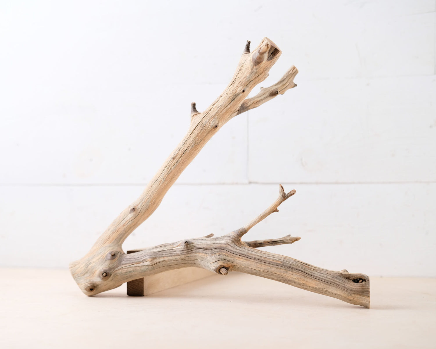 Manzanita 12" Driftwood Branch, Natural Aquarium Wood, Small Aquascape Branch, Nanoscape Tank Decor