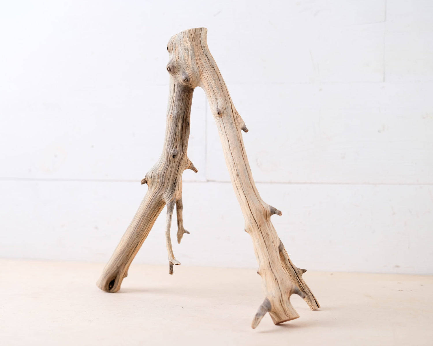 Manzanita 12" Driftwood Branch, Natural Aquarium Wood, Small Aquascape Branch, Nanoscape Tank Decor