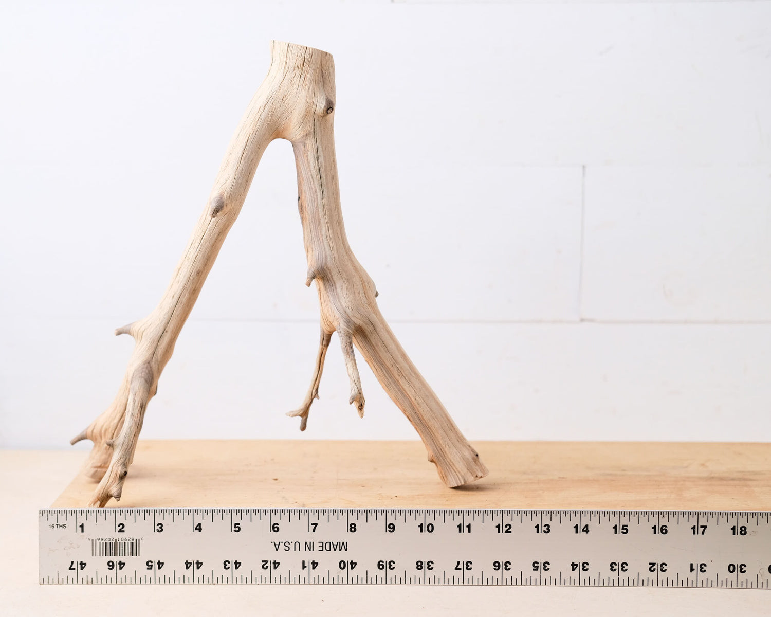 Manzanita 12" Driftwood Branch, Natural Aquarium Wood, Small Aquascape Branch, Nanoscape Tank Decor