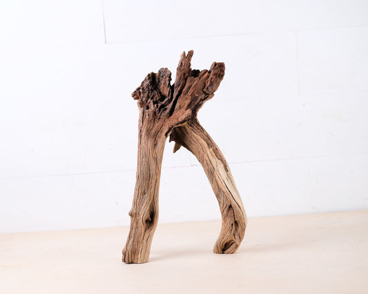Manzanita 14" Driftwood Root, Rugged Aquarium Wood, Natural Fish Tank Decor, Shrimp Tank Enrichment, Reptile Climb