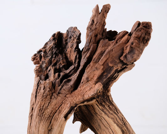 Manzanita 14" Driftwood Root, Rugged Aquarium Wood, Natural Fish Tank Decor, Shrimp Tank Enrichment, Reptile Climb