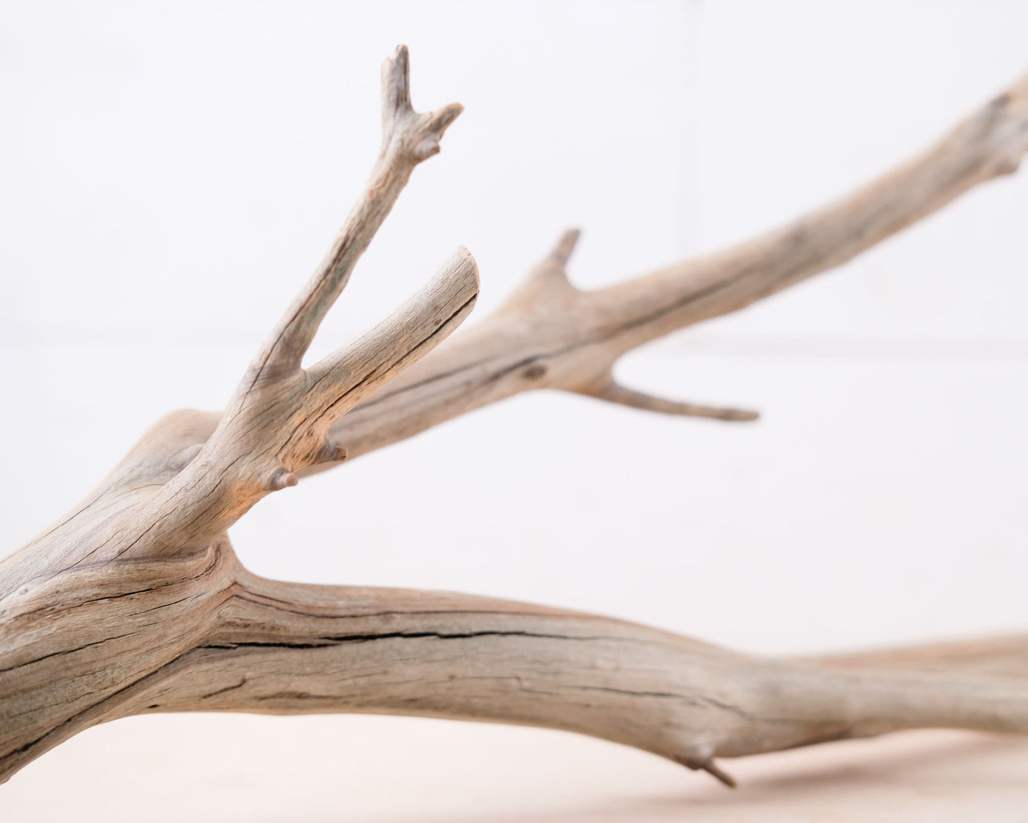Manzanita 15" Branch, Aquarium Driftwood, Natural Aquascape Decor, Vivarium Terrarium Branch
