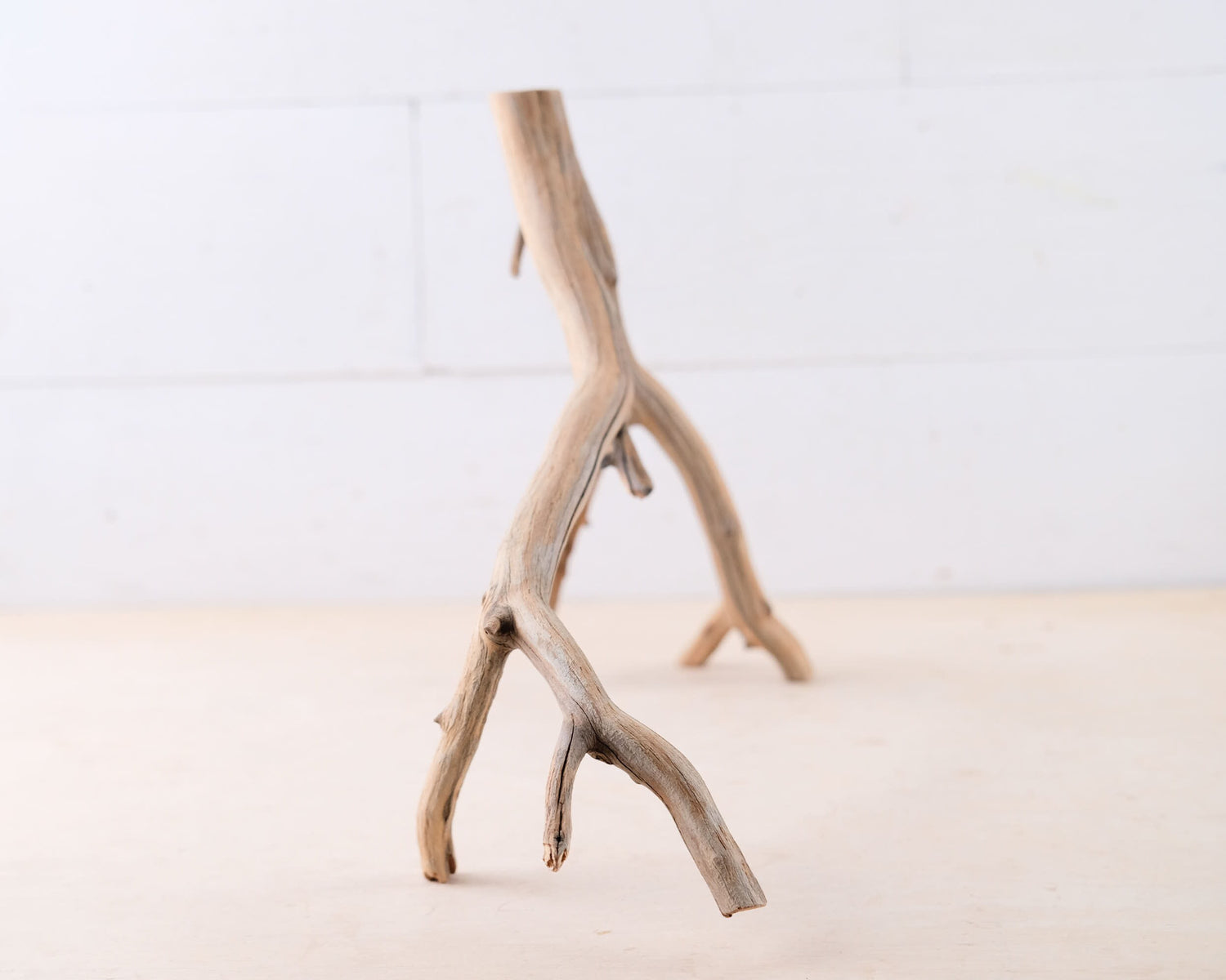 Manzanita 16" Driftwood, Narrow Aquarium Wood, Aquascape Decor, Natural Fish Tank Decor