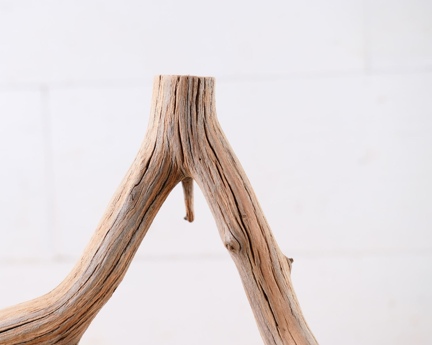 Manzanita 16" Driftwood, Narrow Aquarium Wood, Aquascape Decor, Natural Fish Tank Decor
