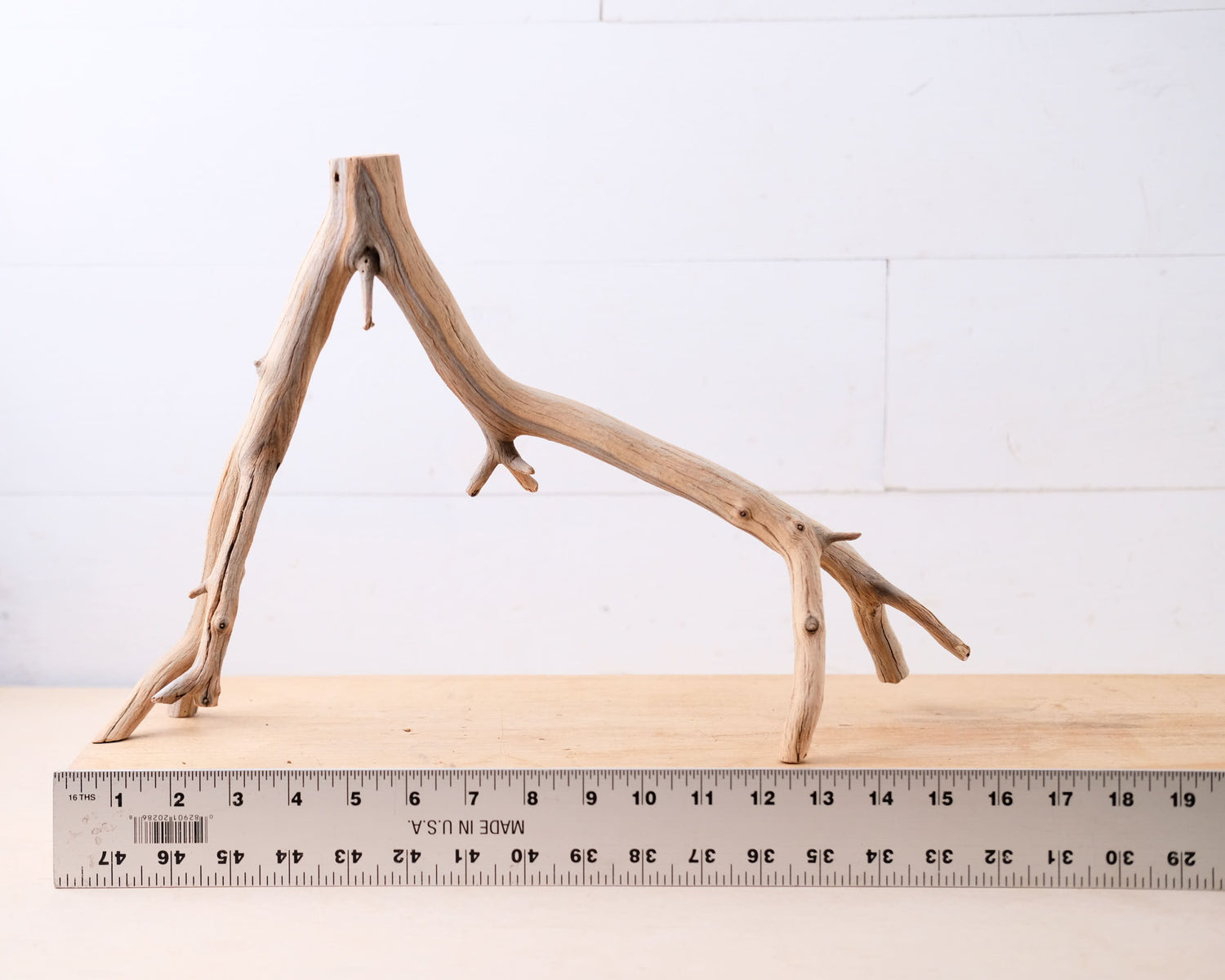 Manzanita 16" Driftwood, Narrow Aquarium Wood, Aquascape Decor, Natural Fish Tank Decor