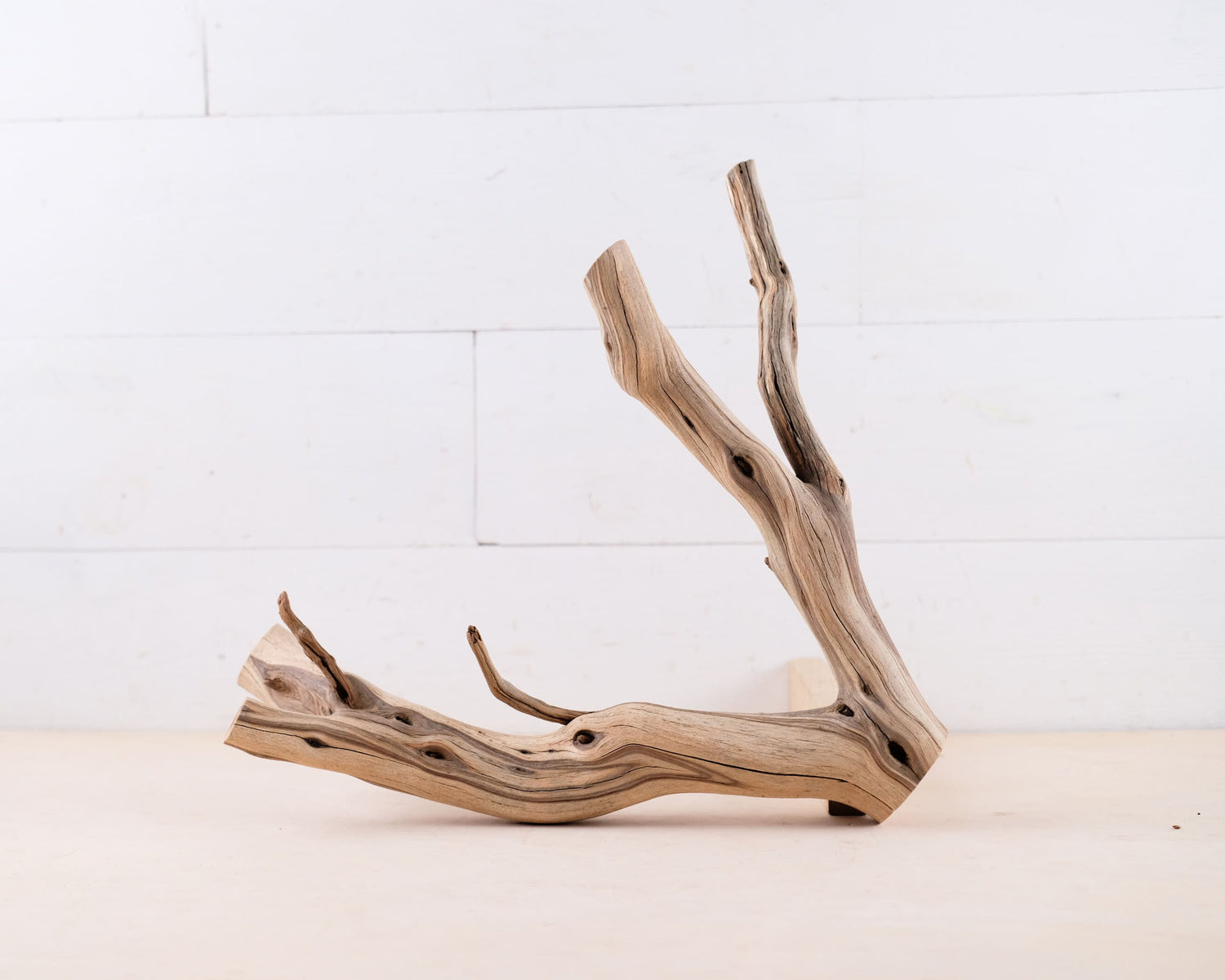 Manzanita 16" Driftwood, Aquarium Driftwood, Narrow Aquascape Decor, Natural Fish Tank Decor, Vivarium Wood